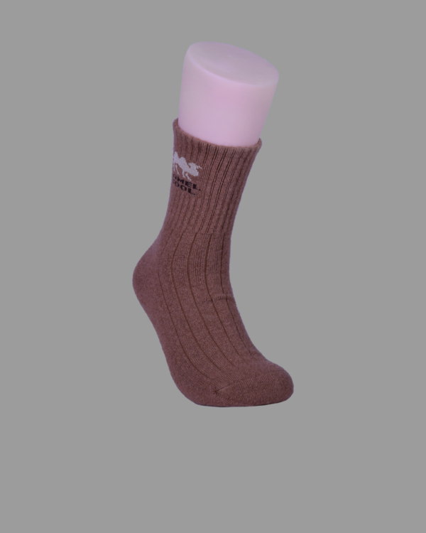 CMLP001