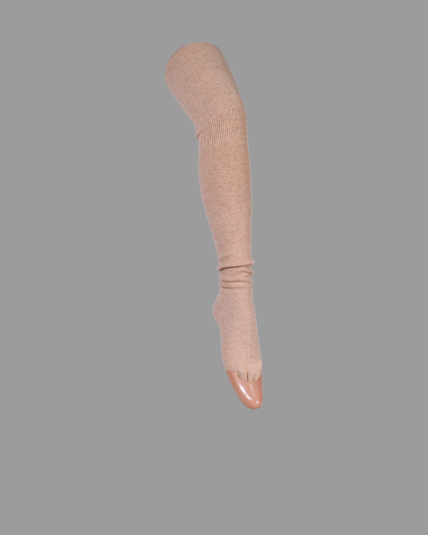 S10-2121-00-0001-02