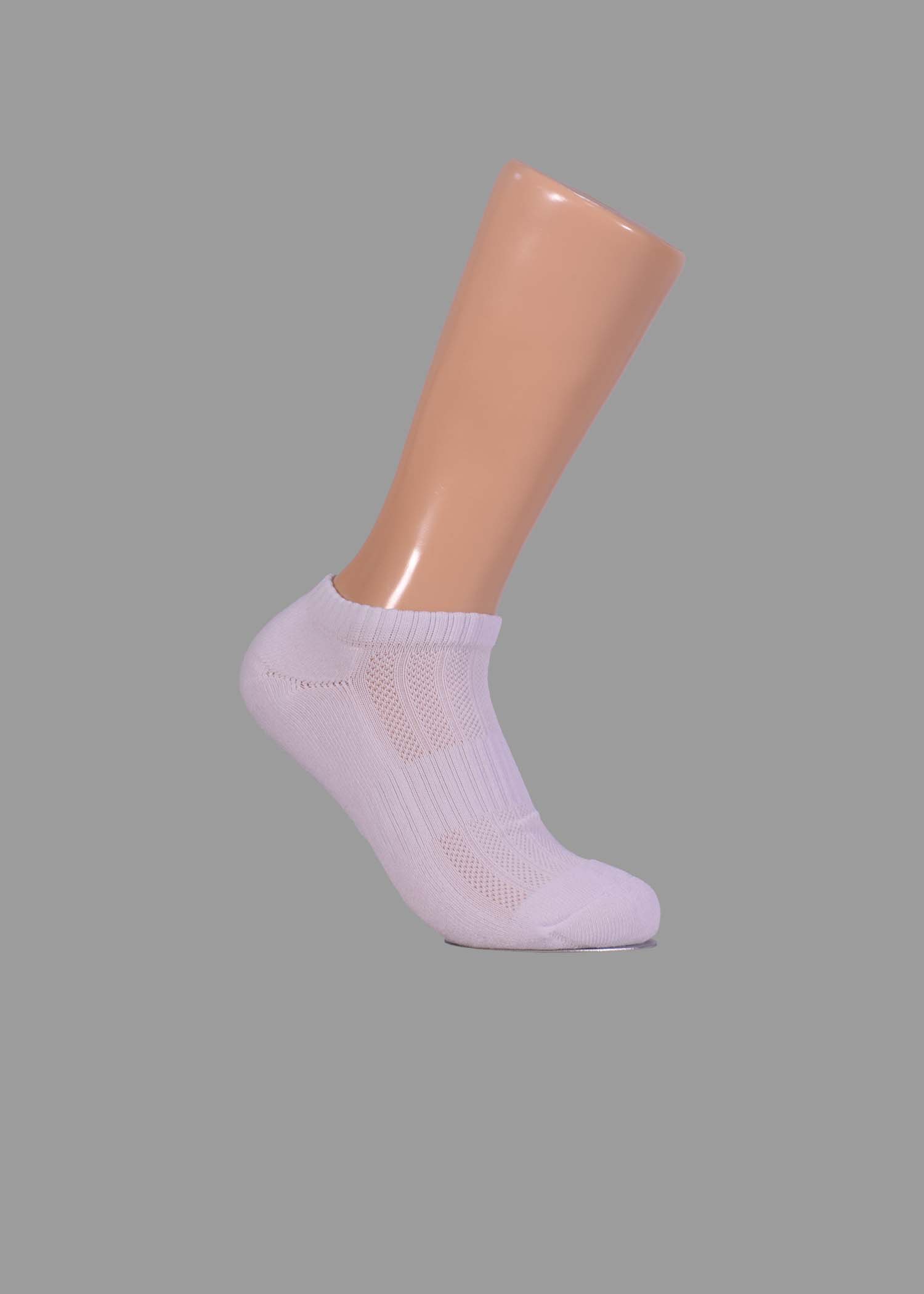 WTCL001 - Image 2