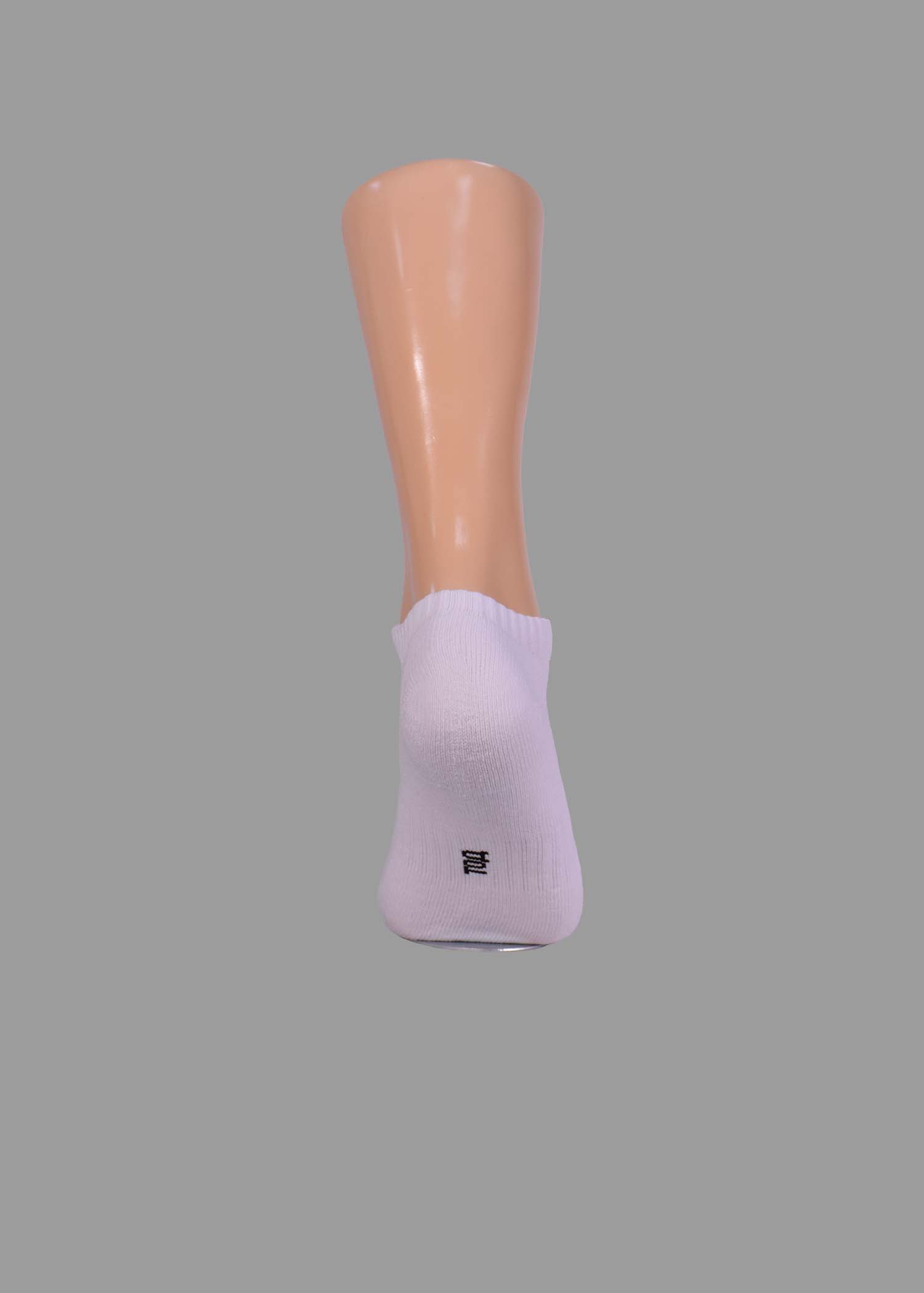 WTCL001 - Image 3
